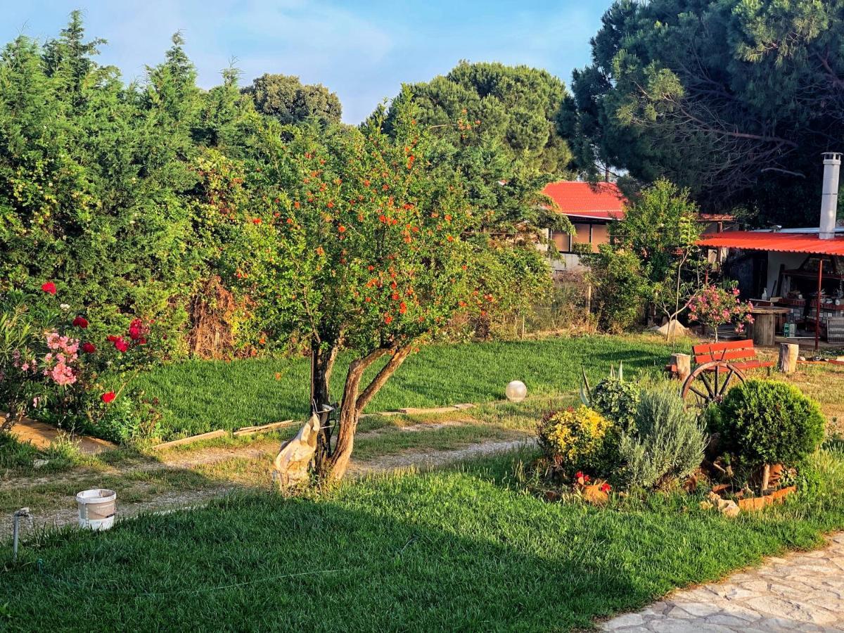 Ivonnis Garden Villa Mesimvria  Luaran gambar