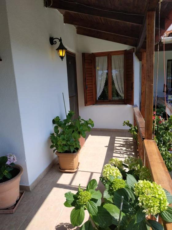 Ivonnis Garden Villa Mesimvria  Luaran gambar