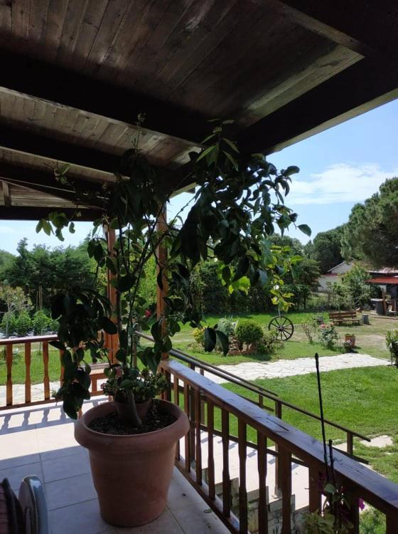 Ivonnis Garden Villa Mesimvria  Luaran gambar