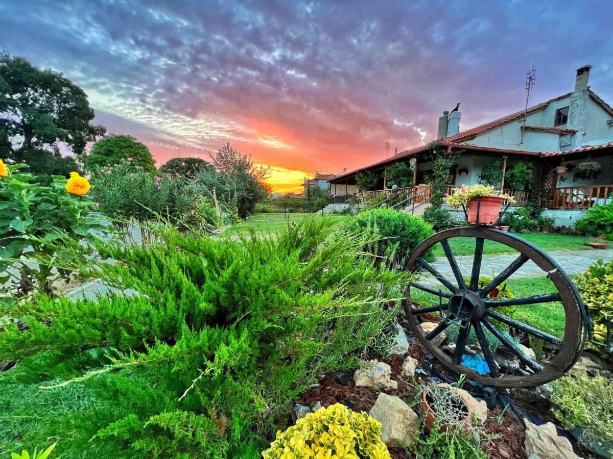 Ivonnis Garden Villa Mesimvria  Luaran gambar