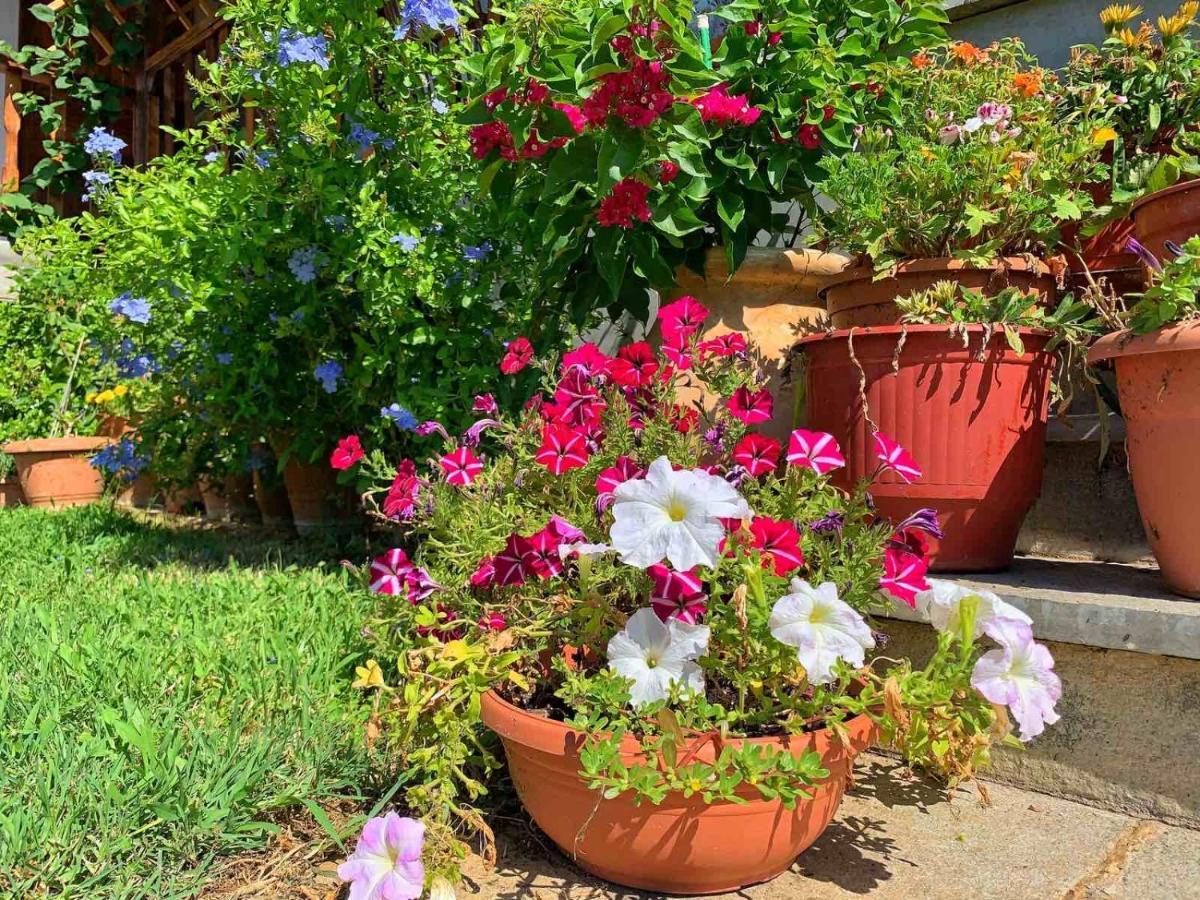 Ivonnis Garden Villa Mesimvria  Luaran gambar