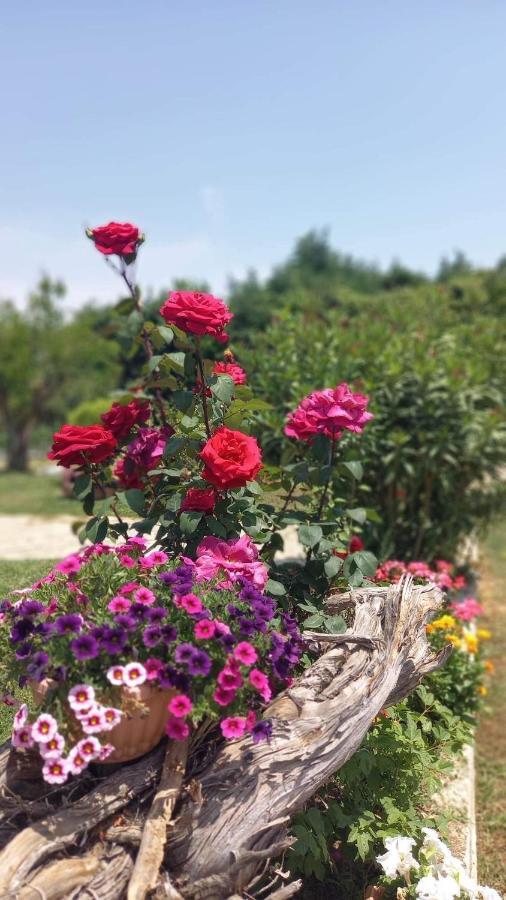 Ivonnis Garden Villa Mesimvria  Luaran gambar
