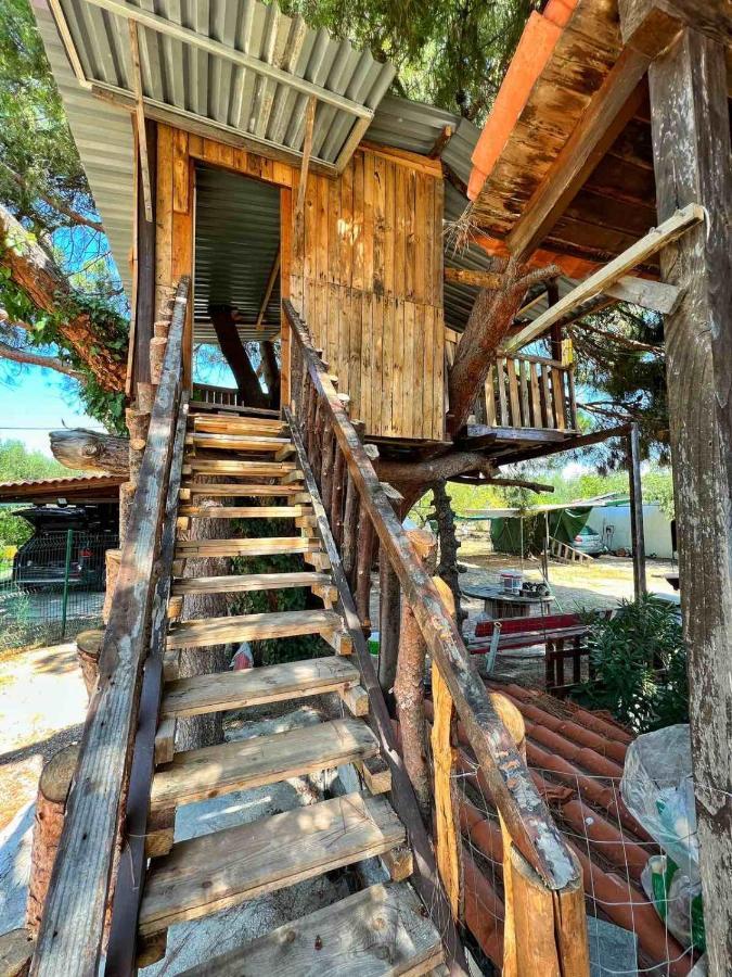 Ivonnis Garden Villa Mesimvria  Luaran gambar