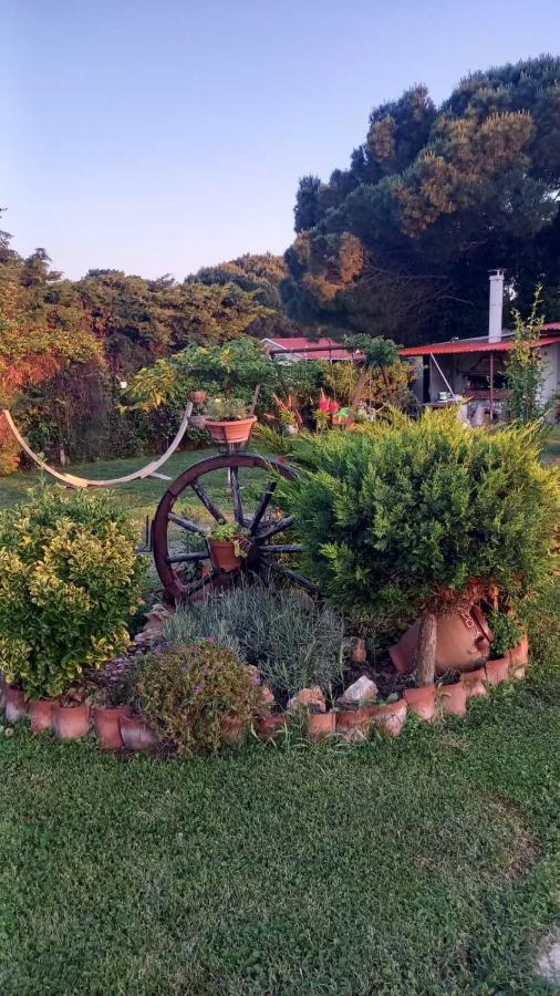 Ivonnis Garden Villa Mesimvria  Luaran gambar